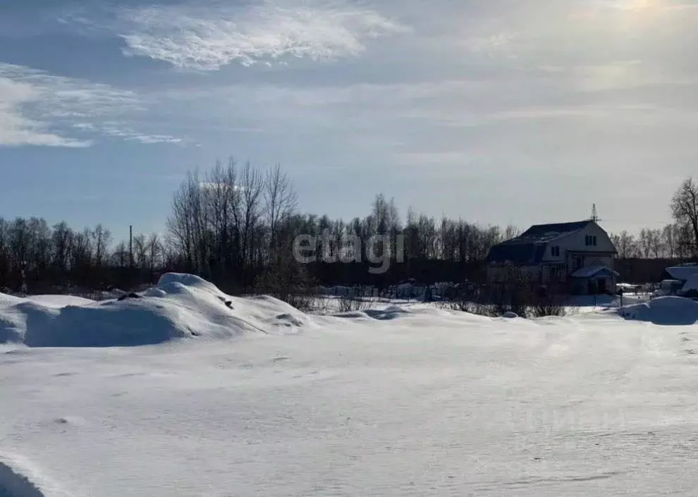 Участок в Нижегородская область, Арзамас городской округ, с. Волчиха ... - Фото 1