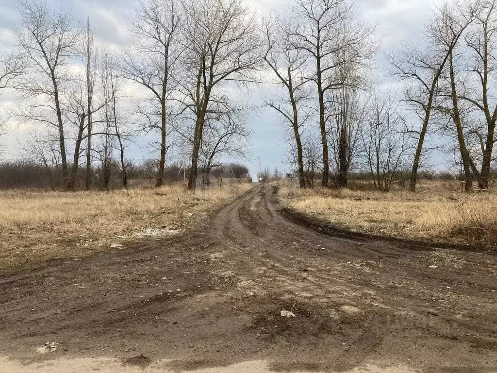 Участок в Белгородская область, Корочанский район, Мелиховское с/пос, ... - Фото 0