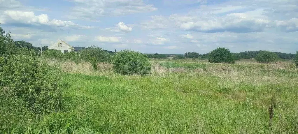 Участок в Воронежская область, с. Новая Усмань ул. Крамского, 1 (8.0 ... - Фото 1