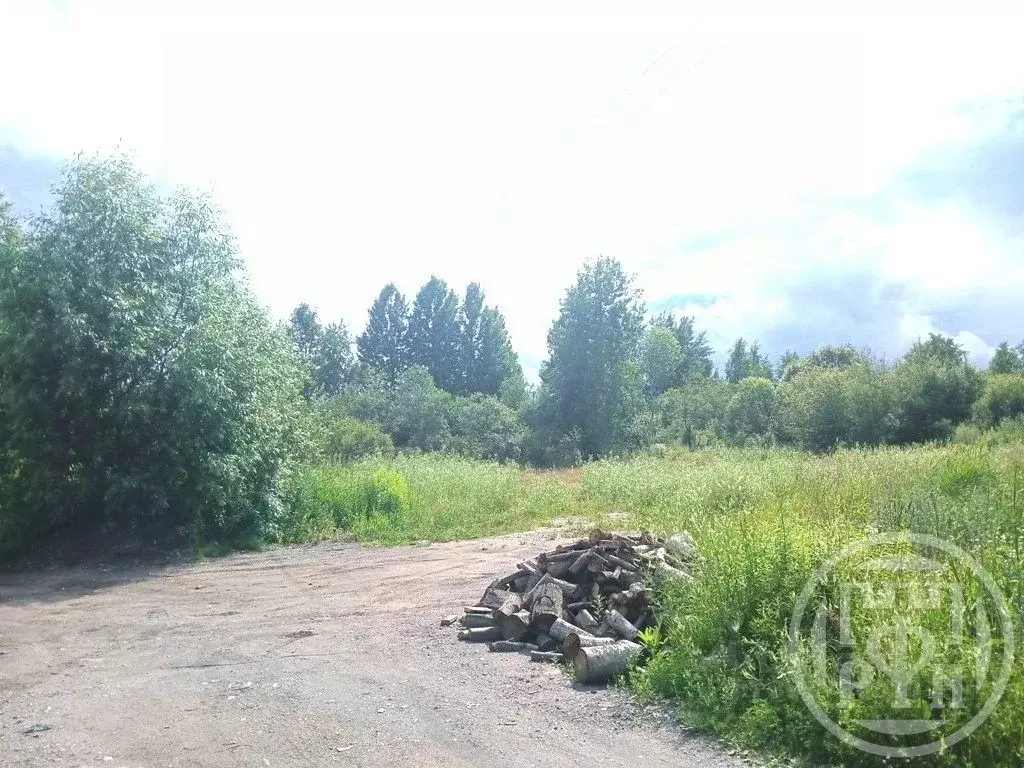 Участок в Ленинградская область, Приозерск Садовая ул. (12.0 сот.) - Фото 2