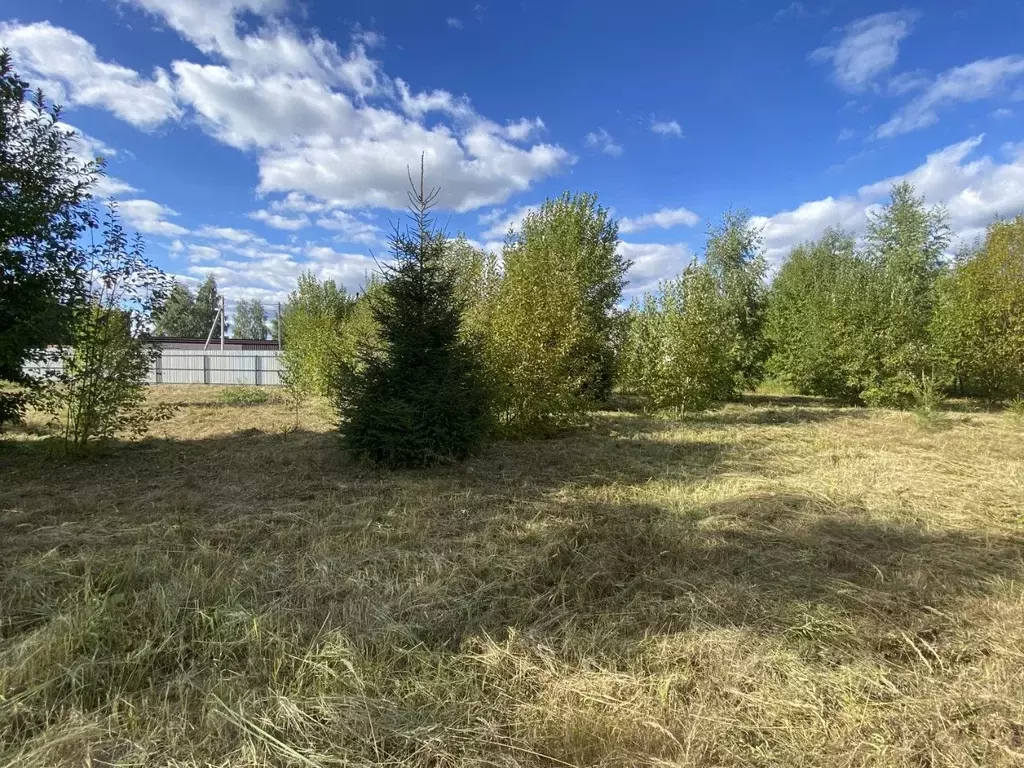 Участок в Московская область, Истра городской округ, Люкс-Проект ДНП . - Фото 0