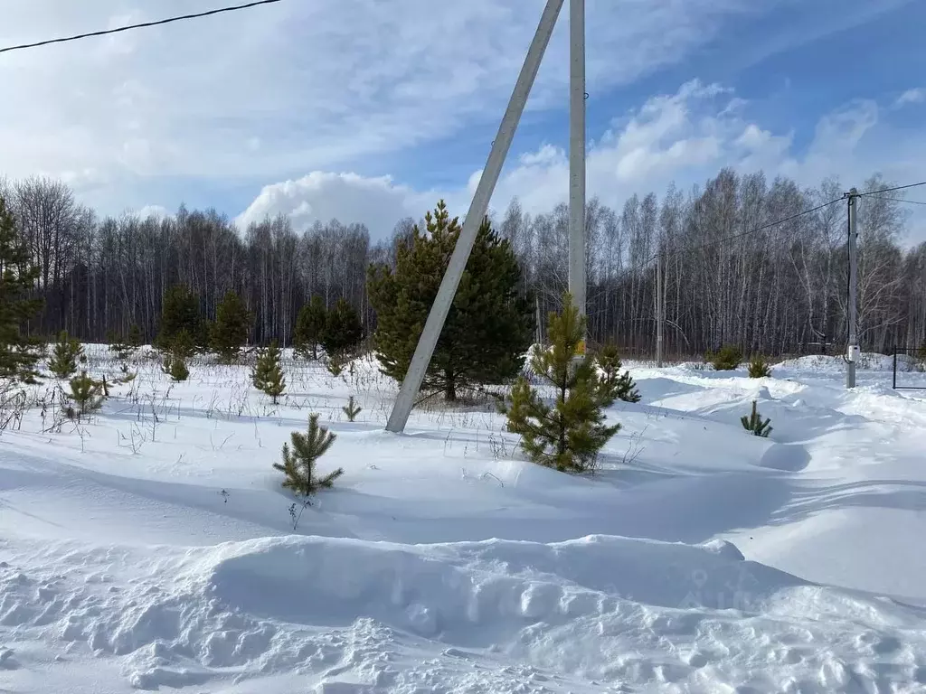 Участок в Тюменская область, Тюменский район, с. Кулига, Кулига-2 мкр  ... - Фото 0