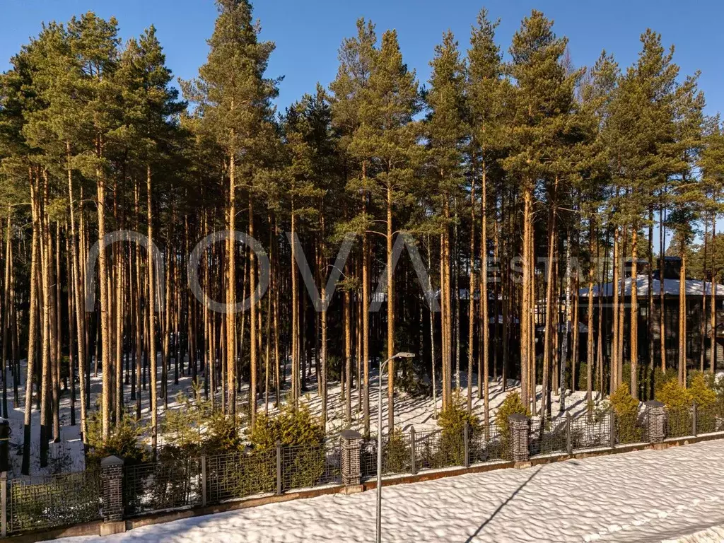 Участок в Ленинградская область, Всеволожский район, Бугровское ... - Фото 1