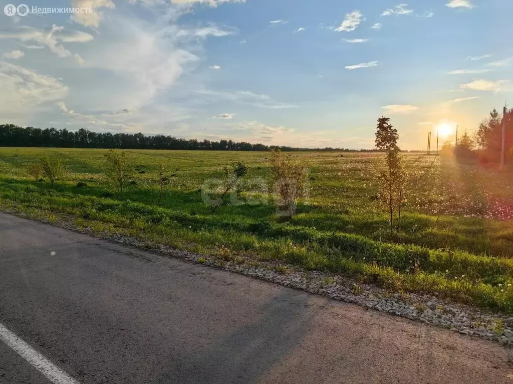 Участок в Тульская область, городской округ Алексин, деревня Глебово ... - Фото 2