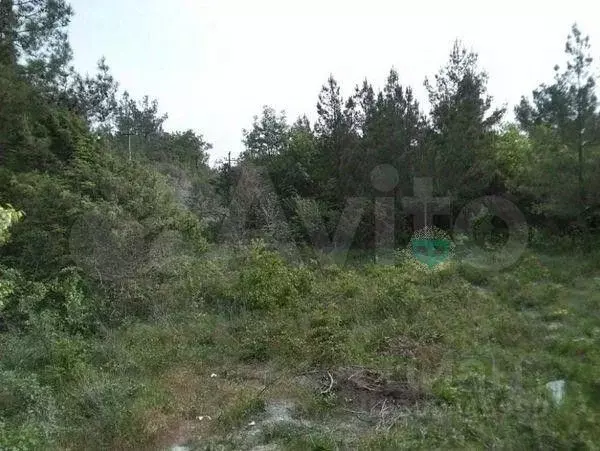 Участок в Краснодарский край, Геленджик городской округ, с. ... - Фото 1