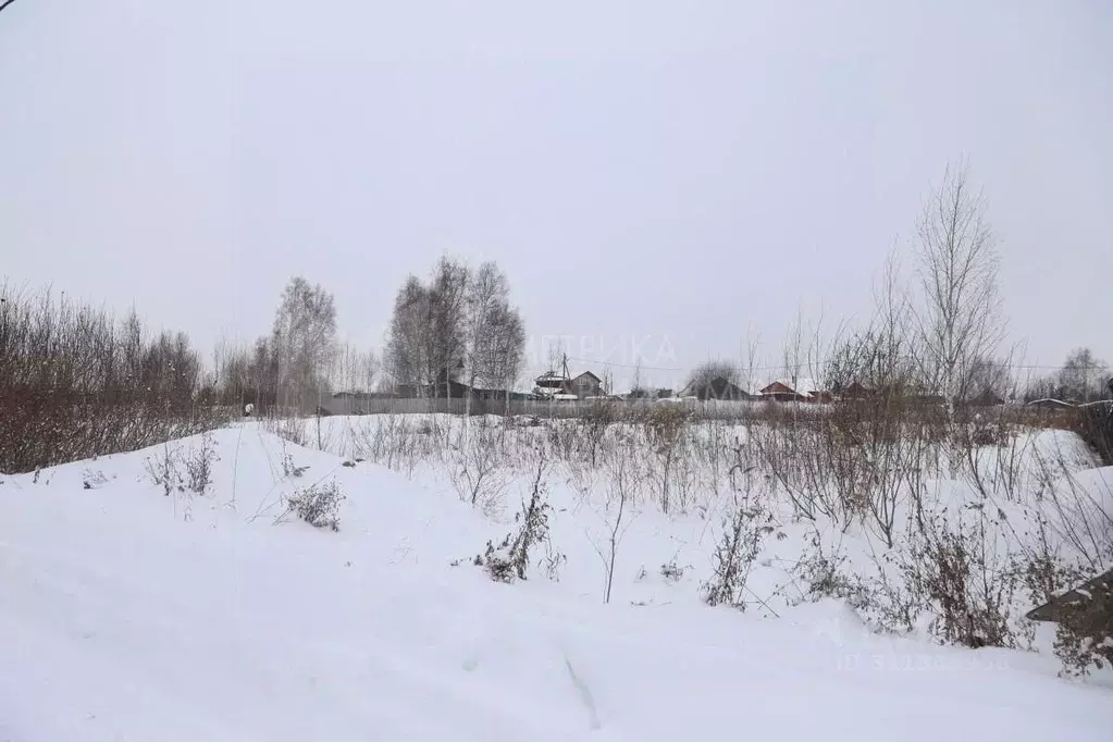 Участок в Тюменская область, Тюмень Садовое товарищество Липовый ... - Фото 1