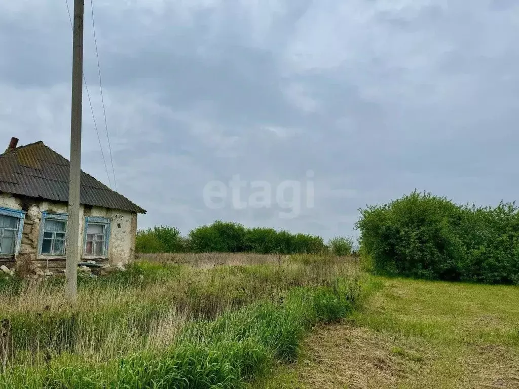 Участок в Белгородская область, Валуйский муниципальный округ, с. ... - Фото 0