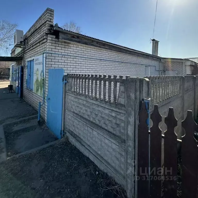 Помещение свободного назначения в Нижегородская область, Бор ул. ... - Фото 1