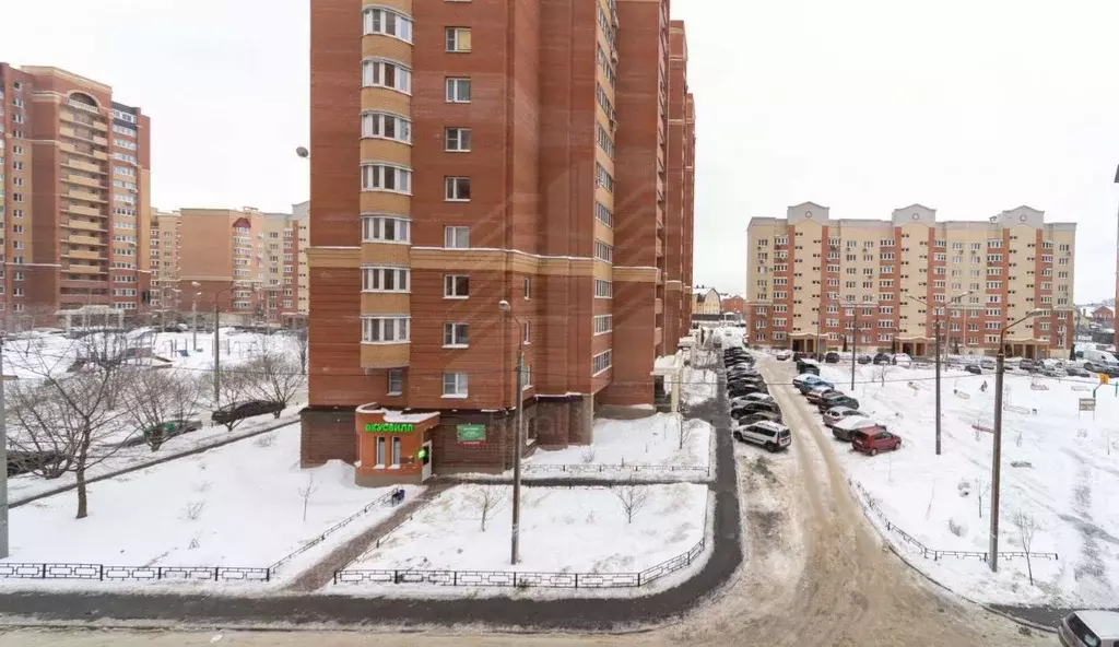 1-к кв. Московская область, Домодедово Западный мкр, ул. Лунная, 1к1 ... - Фото 2