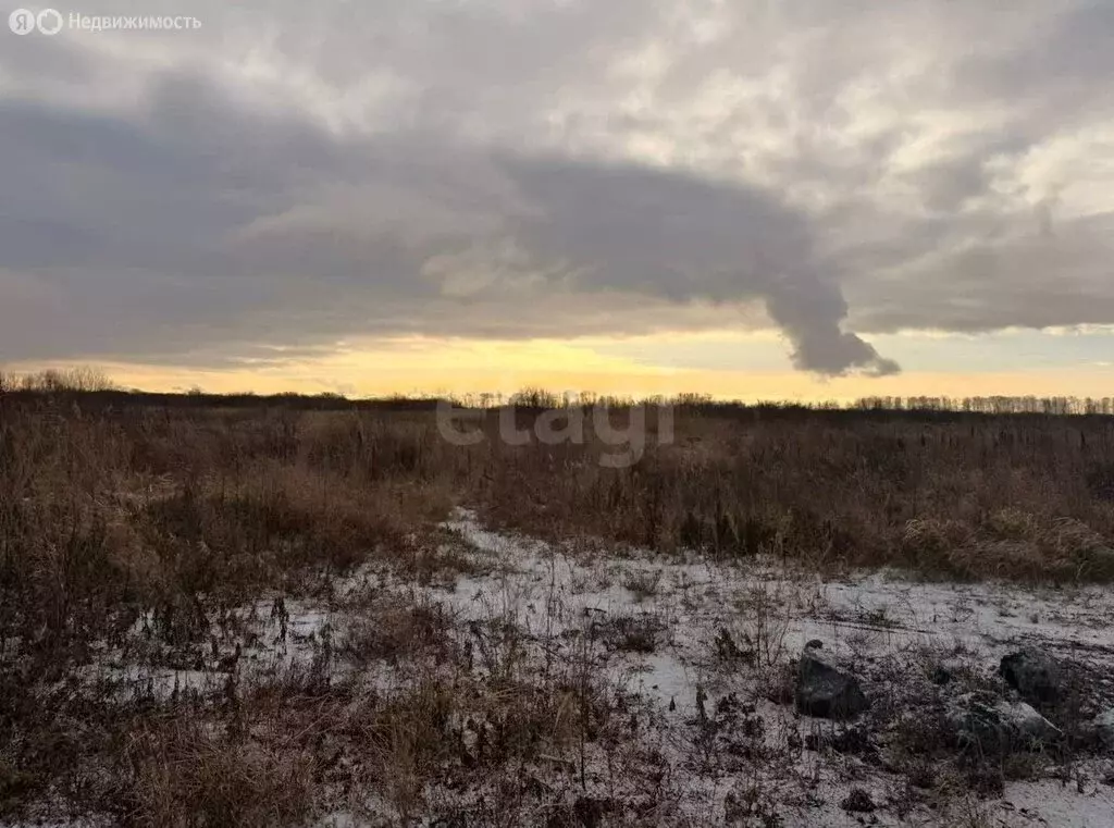 Участок в Тюмень, Ленинский округ (11.19 м) - Фото 2