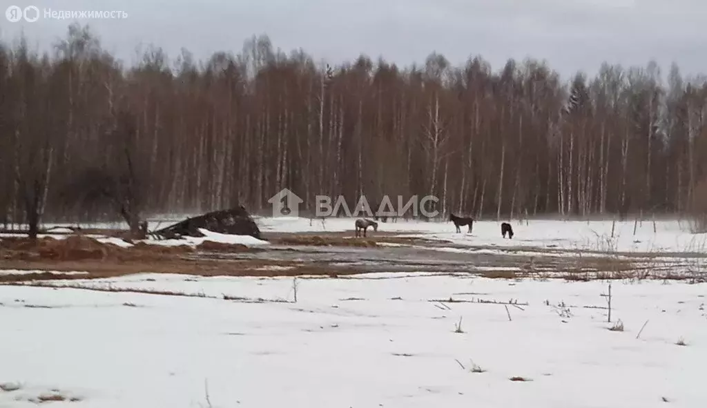 Участок в муниципальное образование Паустовское, деревня Рытово, 15 ... - Фото 0