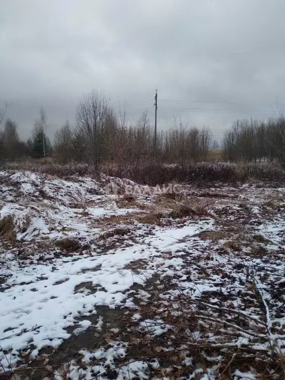 Участок в Владимирская область, Суздальский район, Новоалександровское ... - Фото 1