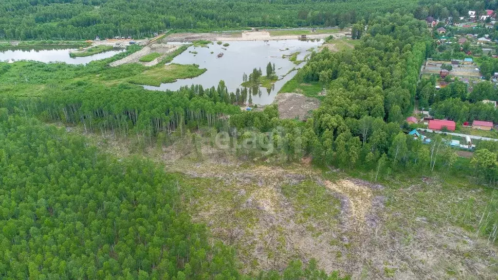 Участок в Тюменская область, Нижнетавдинский муниципальный округ, ... - Фото 1
