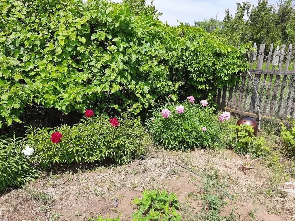 Участок в Волгоградская область, Городищенский район, Ерзовское ... - Фото 2