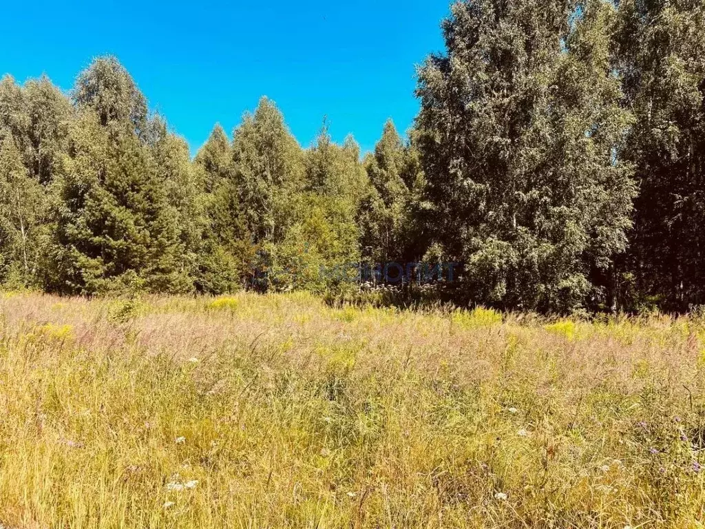 Участок в Нижегородская область, Дальнеконстантиновский муниципальный ... - Фото 1