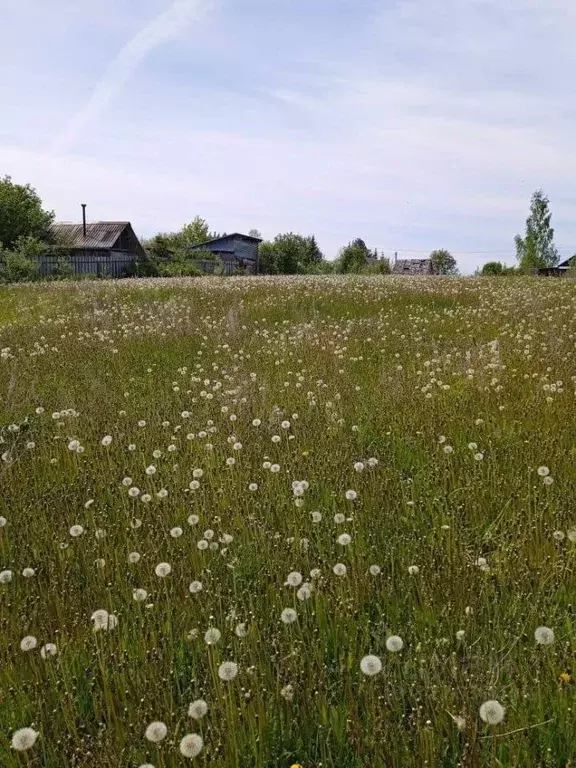 Участок в Башкортостан, Иглинский район, Чуваш-Кубовский сельсовет, с. ... - Фото 1