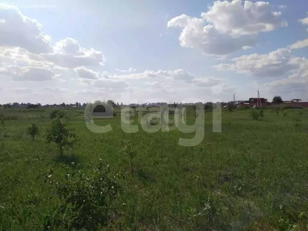 Участок в муниципальный округ Омский район, деревня Зелёное Поле, ... - Фото 2