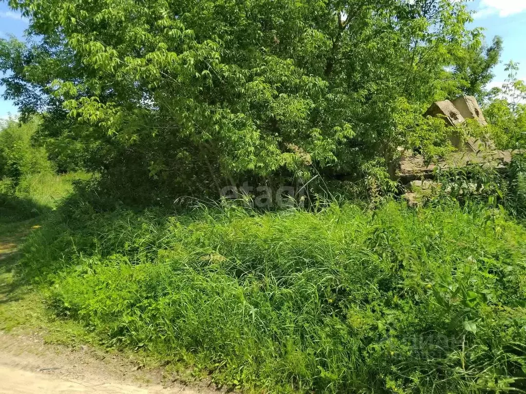 Участок в Смоленская область, Смоленск пос. Красный Бор, ул. ... - Фото 1