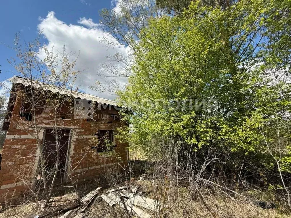 Дом в Амурская область, Белогорский муниципальный округ, с. ... - Фото 2