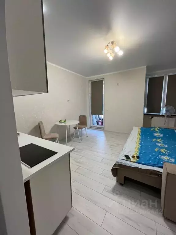 Студия Московская область, Подольск городской округ, д. Борисовка ул. ... - Фото 2