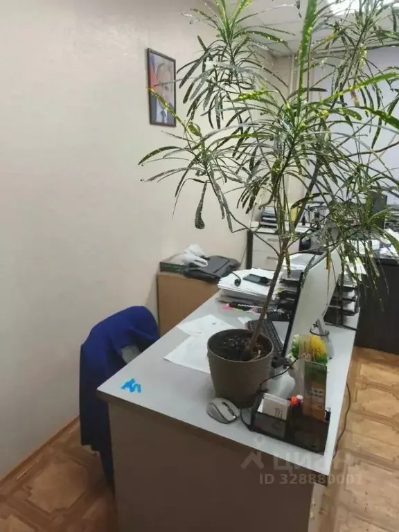 Помещение свободного назначения в Красноярский край, Норильск ... - Фото 2