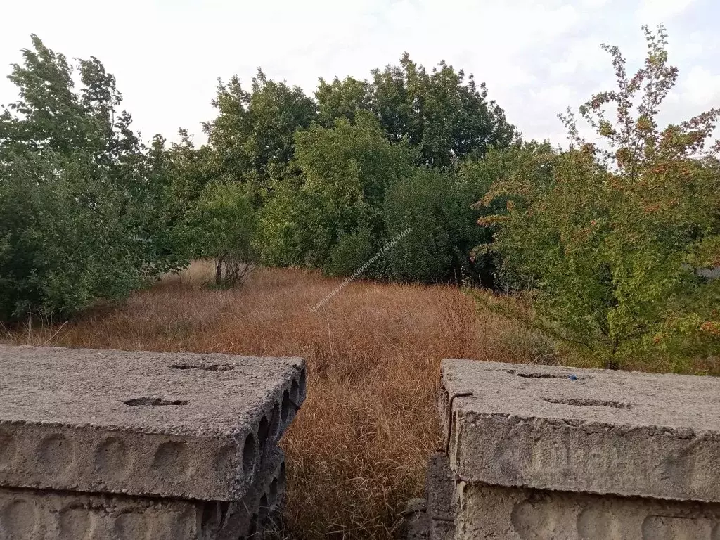 Участок в Ростовская область, Неклиновский район, с. Николаевка ул. ... - Фото 2