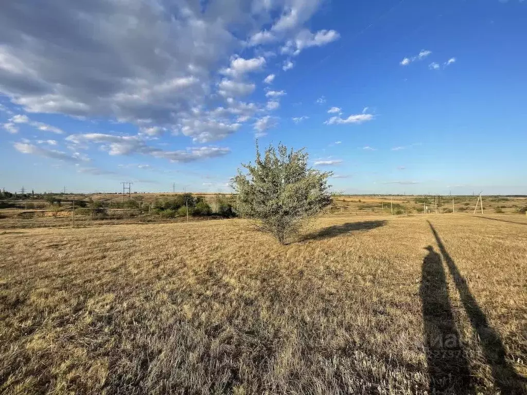 Участок в Ростовская область, Аксайский район, Мишкинское с/пос, Киров ... - Фото 2