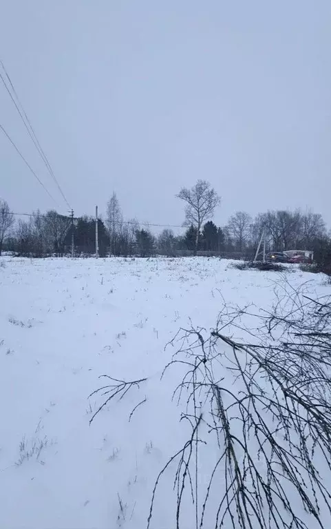 Участок в Московская область, Воскресенск городской округ, с. ... - Фото 1