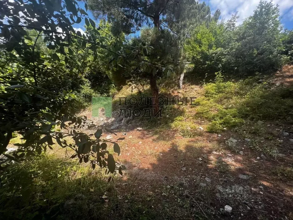 Участок в Крым, Ялта муниципальный округ, Восход пгт ул. Авроры (4.2 ... - Фото 2