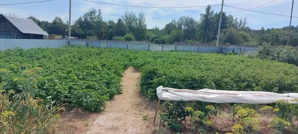 Дом в Нижегородская область, Володарский муниципальный округ, Смолино ... - Фото 1