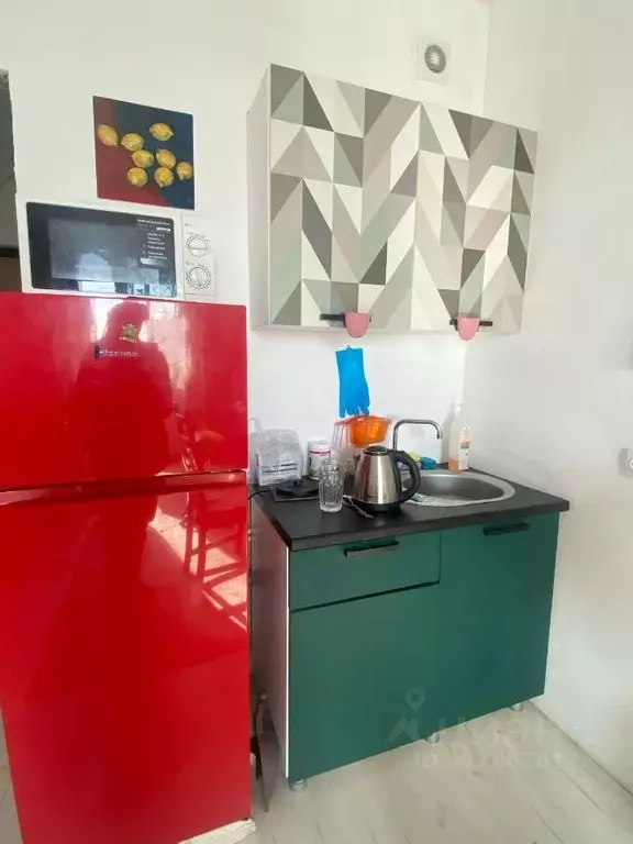 Студия Санкт-Петербург ул. Плесецкая, 10 (23.5 м) - Фото 1