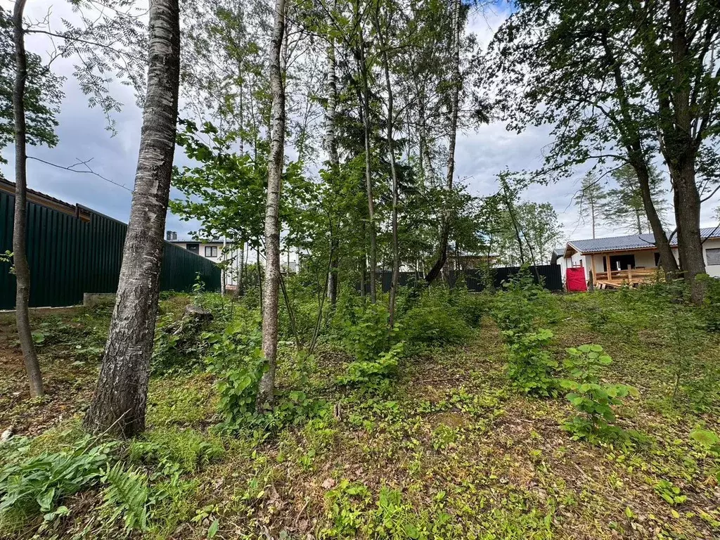 Участок в Московская область, Пушкинский городской округ, Левково-3 кп ... - Фото 2