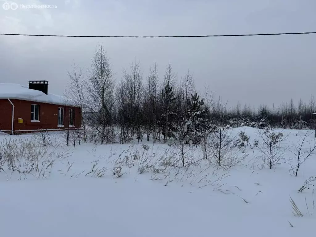 Участок в Костромской район, Бакшеевское сельское поселение, деревня ... - Фото 1