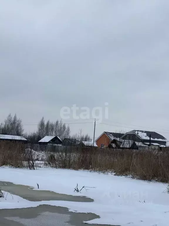 Участок в Нижегородская область, Выкса городской округ, с. Борковка ... - Фото 0