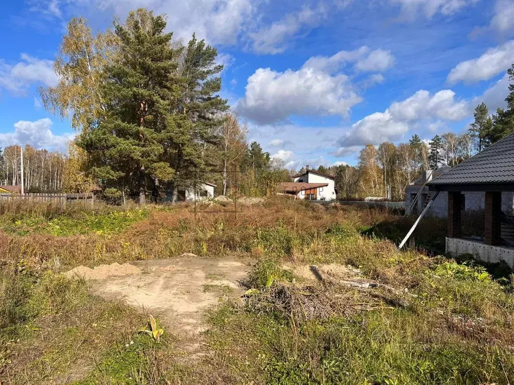 Участок в Новосибирская область, Новосибирский район, Барышевский ... - Фото 1