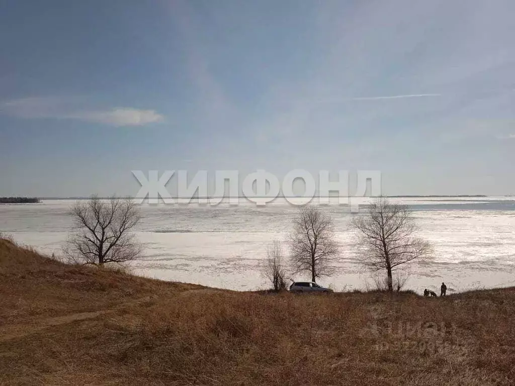 Участок в Новосибирская область, Новосибирский район, с. Боровое ул. ... - Фото 1