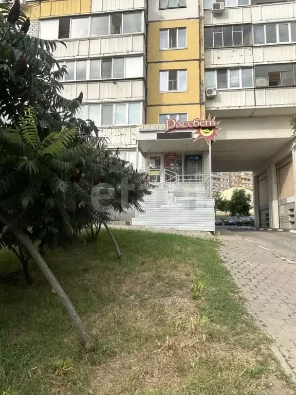 Помещение свободного назначения в Белгородская область, Белгород ул. ... - Фото 1