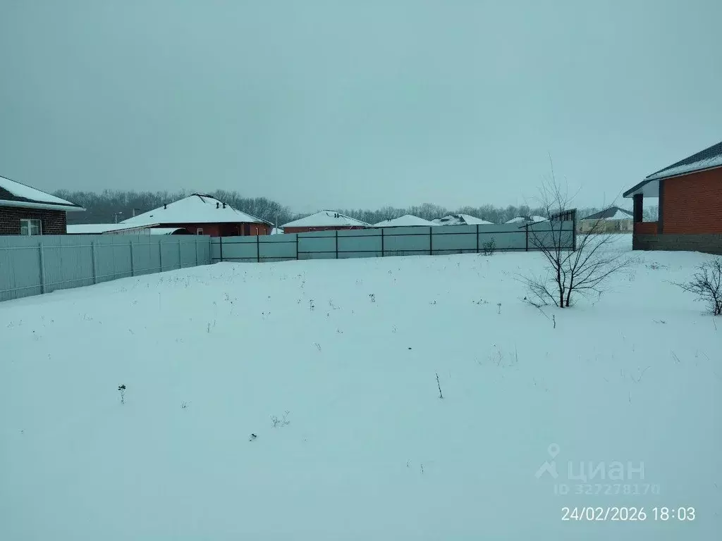 Участок в Белгородская область, Строитель Яковлевский городской округ, ... - Фото 1