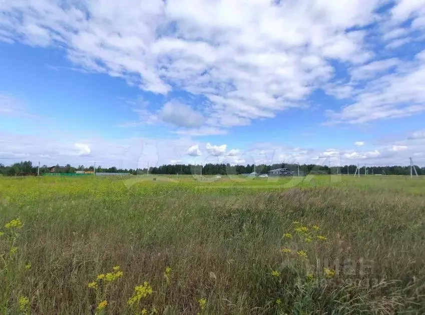 Участок в Тюменская область, Нижнетавдинский район, с. Тюнево  (10.4 ... - Фото 1