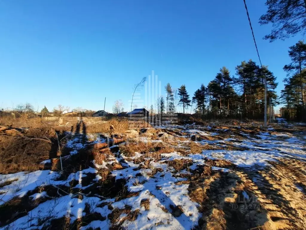 Участок в Владимирская область, Собинка ул. Уютная (11.0 сот.) - Фото 0