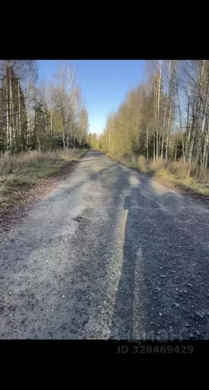 Участок в Кировская область, Советский район, Зашижемское с/пос, д. ... - Фото 2