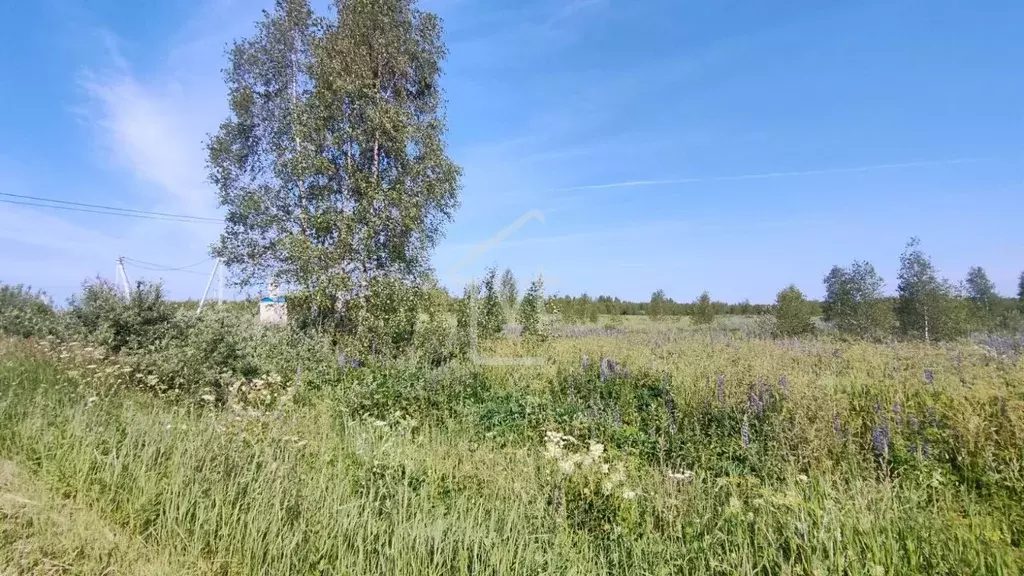 Участок в Владимирская область, Судогодский район, Головинское ... - Фото 1