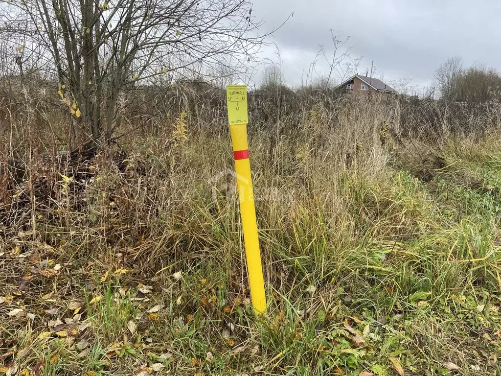 Участок в Ленинградская область, Ломоносовский район, д. Гостилицы ул. ... - Фото 2