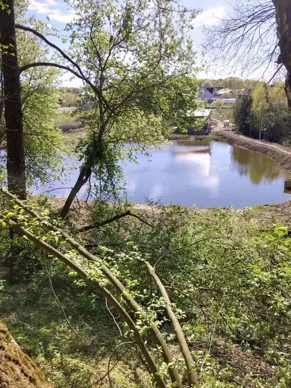 Дом в Московская область, Серпухов городской округ, д. Семеновское 25 ... - Фото 0