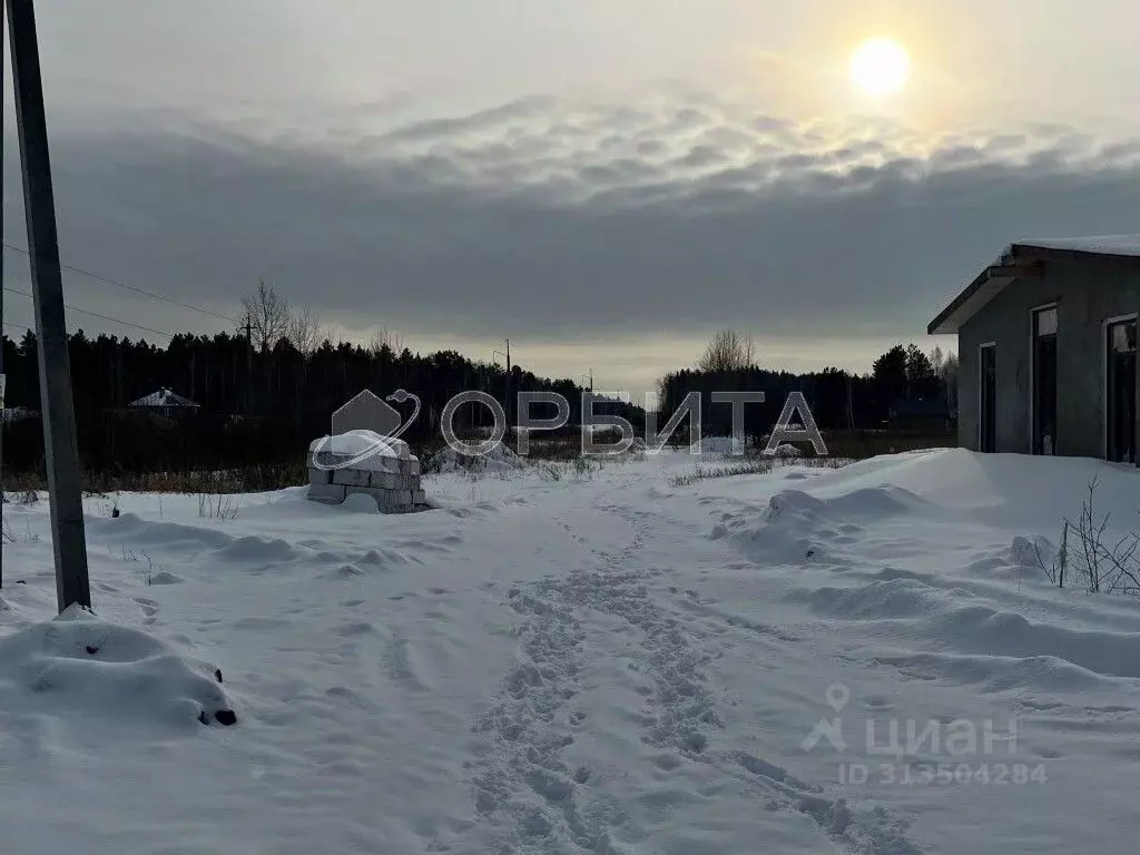 Участок в Тюменская область, Нижнетавдинский район, с. Тюнево  (9.69 ... - Фото 1