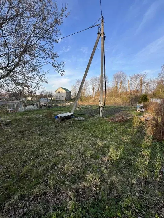 Участок в Калининградская область, Багратионовский муниципальный ... - Фото 2