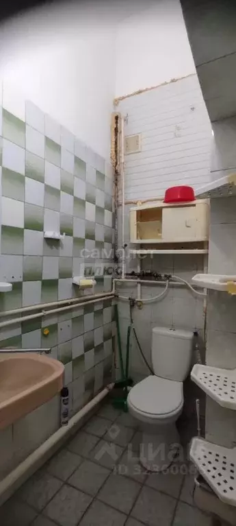 1-к кв. Крым, Ялта муниципальный округ, Массандра пгт ул. Винодела ... - Фото 2