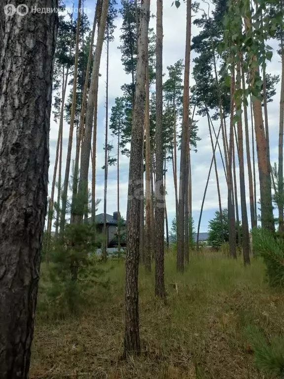 Участок в деревня Новоподклетное, улица Генерала Ватутина (7.5 м) - Фото 0