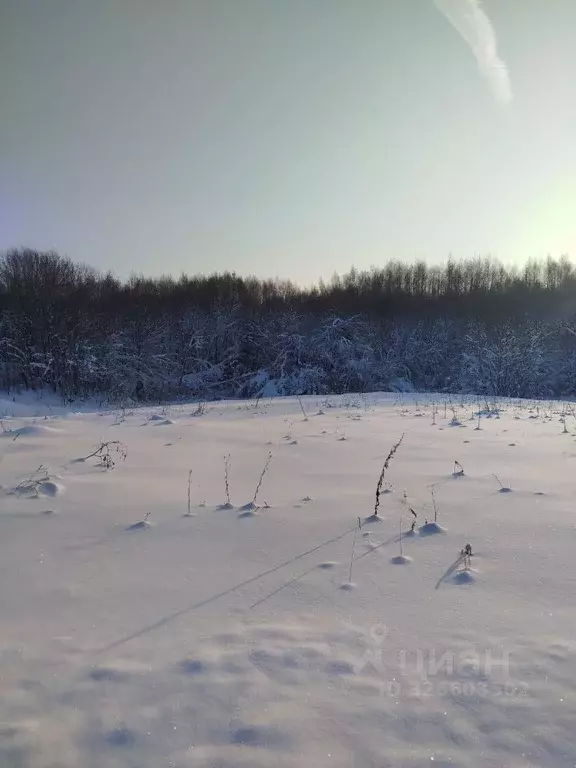 Участок в Московская область, Клин городской округ, д. Покров  (11.0 ... - Фото 1