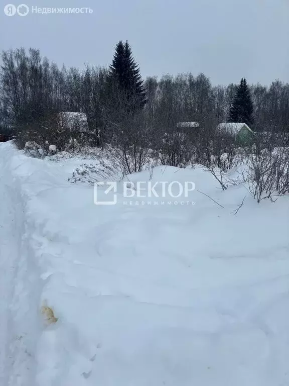 Участок в Кострома, садоводческое товарищество Дубки, 923 (4 м) - Фото 2